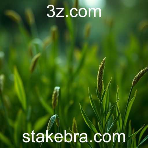 A Importância do Conceito de Stake na Economia Digital